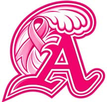 Abington Youth Football and Cheer Breast Cancer Awareness Store